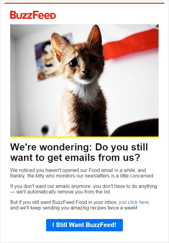 buzz feed customer re-engagement email example