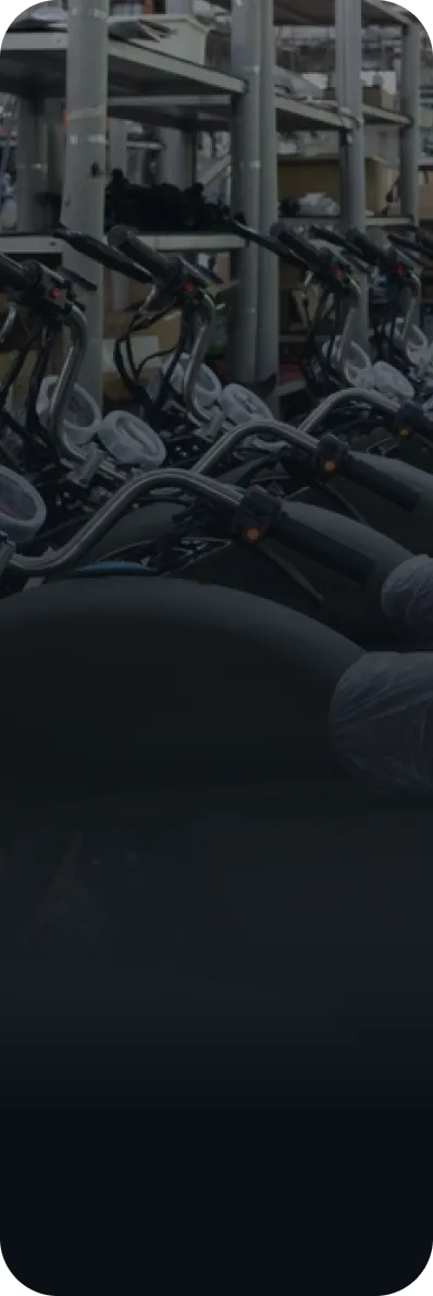 Bajaj Auto case study
